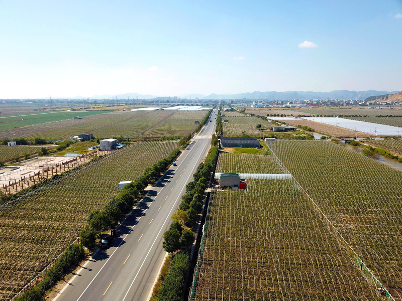 溫嶺市X811橫東線紅升段路面維修工程